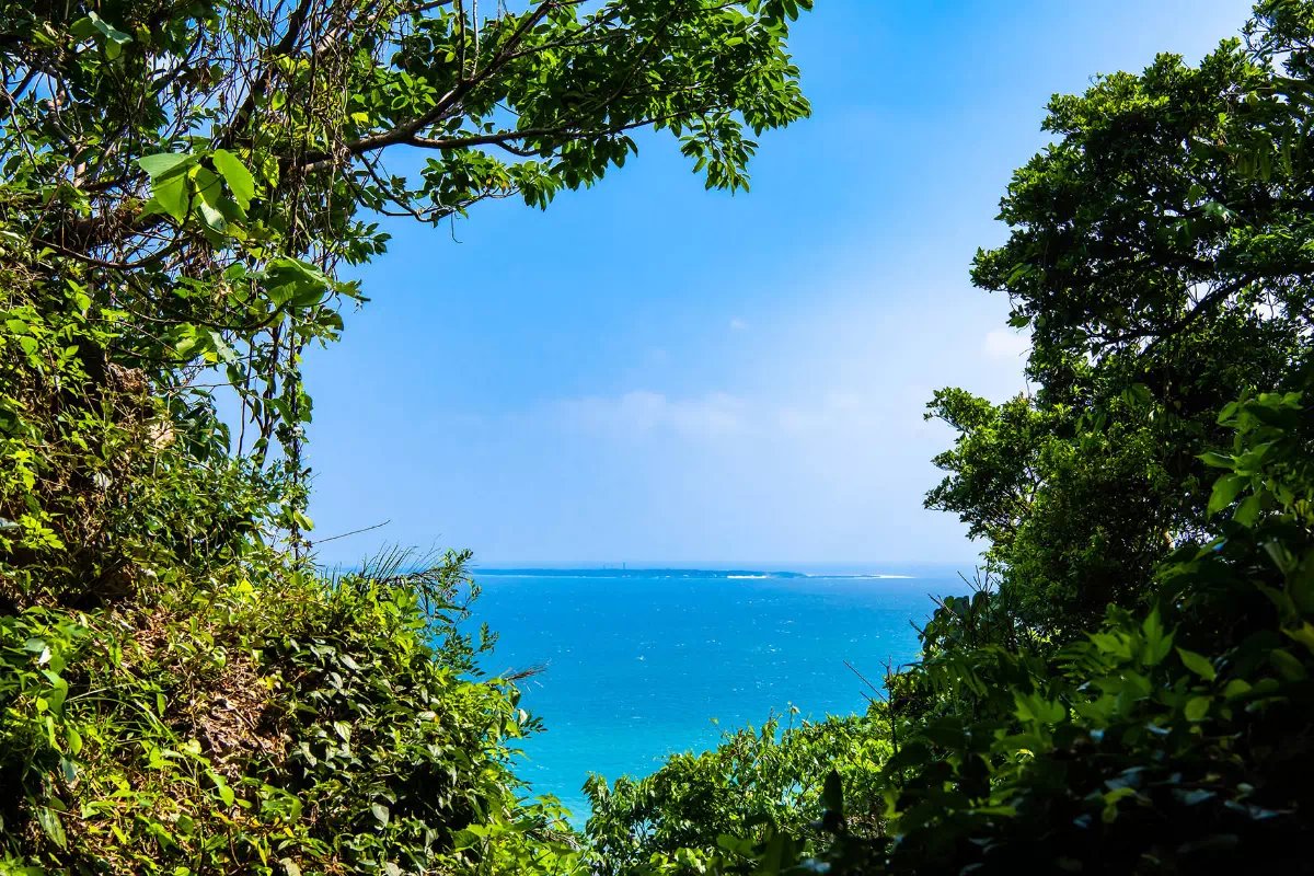 🏛️ 정화된 우타키 (세이파우타키) 이미지 5